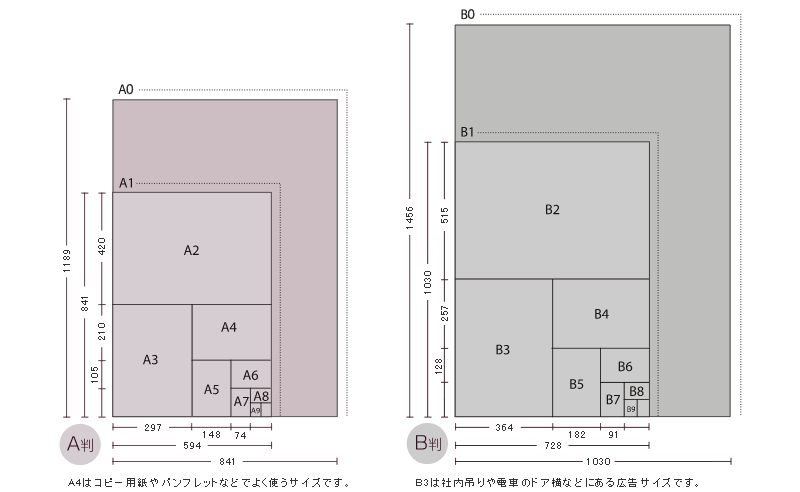 ̎dオTCY