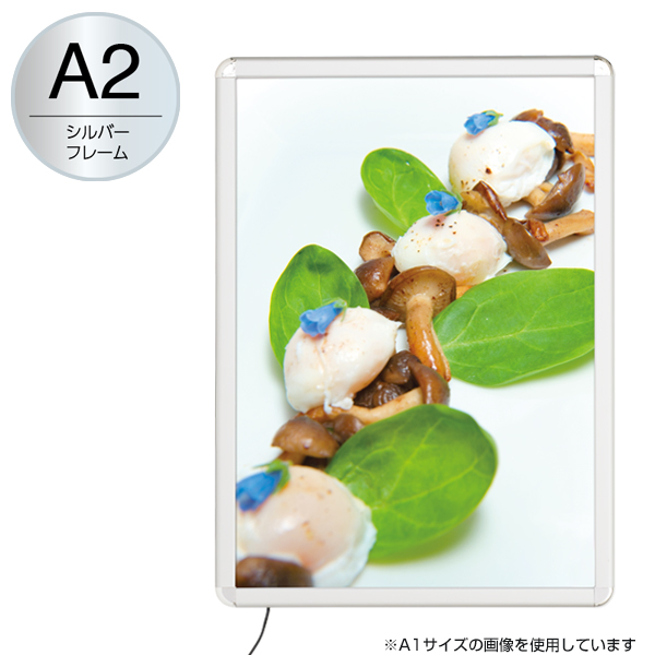 MGライトパネルカスタム LEDライティングパネル 屋外 ACアダプター付 A2 シルバー