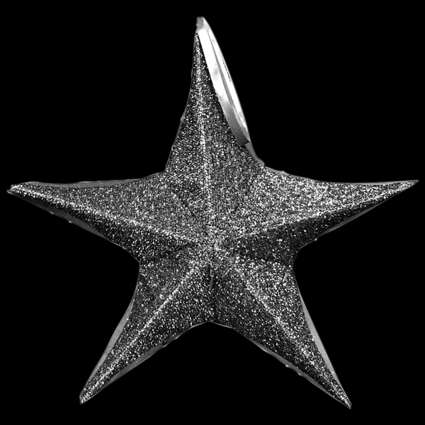 シャインクロススター 星形 ポリエステル製 ブラック 65cm