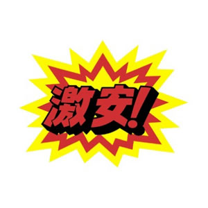 【在庫処分 - 現品限り特価品】バクハツクラフトポップ13-4010