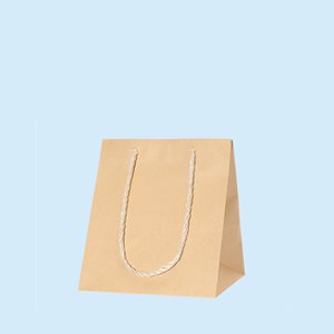 アレンジバッグ L 未晒 50枚