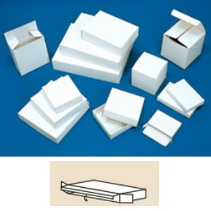白無地BOX H-83 サック 100枚