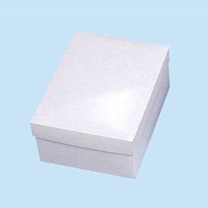 エスプリBOX B-2 100枚