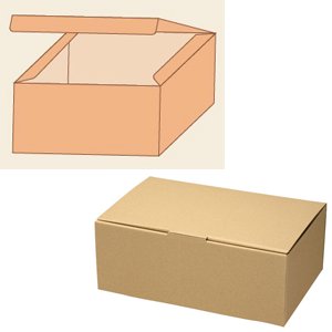 ナチュラルBOX ECO・Z-6 50枚