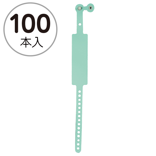 新パスバンド 取付け簡単 はずせないロック式 100本入 グリーン
