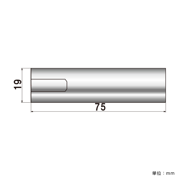 ポピック No.19-N-75 ナットタイプ 化粧ビスφ19×75mm