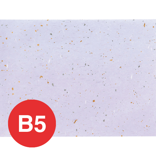 OA和紙金銀雲竜(B5) OB-51 藤