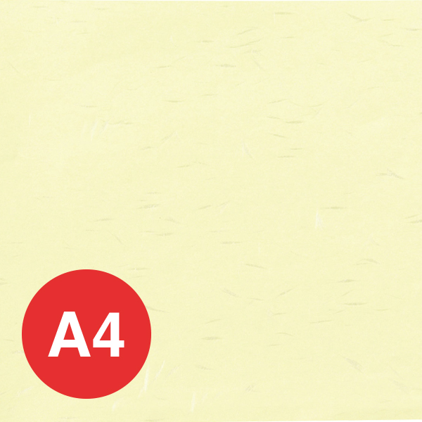 OA和紙大典紙(A4) OA-42(10枚) 草