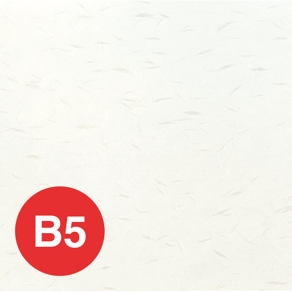 OA和紙大典紙(B5) OB-52(10枚) 白