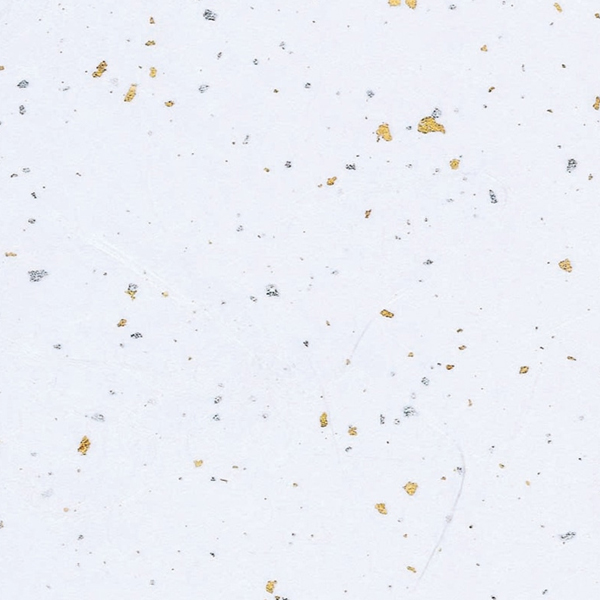 雲龍紙 金銀 50 白 250枚
