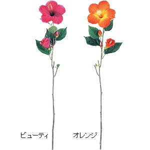 ビッグハイビスカス 3753 オレンジ
