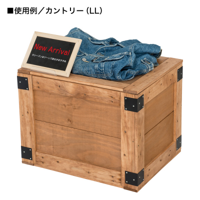 �y�݌Ɍ���z�j���[�G�L�X�|�[�gBOX�i���؁jM