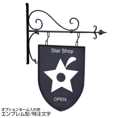 �A�C�A���T�C���v���[�g  �G���u�����^