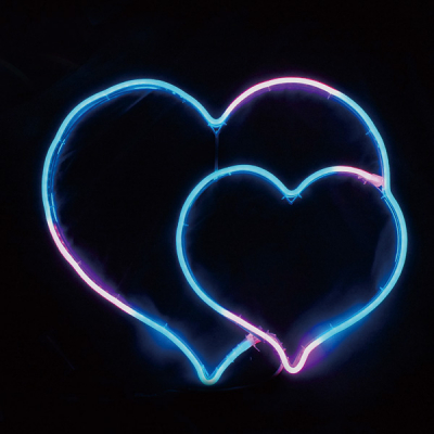 LED�t���L�V�l�I�� �t���J���[ �l�I���� �h�J�d�l 6m 
