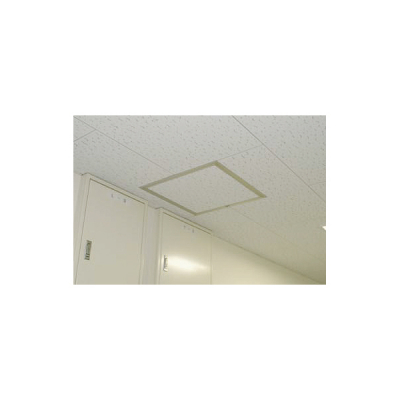 �V��_����   450�����p �X�ܗp�i �W���p�i