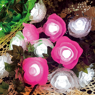 LED���[�Y�X�g�����O�X �K�N�C���~�l�[�V�������C�g �s���N