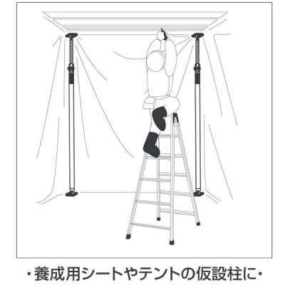 �˂�����X�^���h KTSD-290 �W�� �C�x���g �݉c ��������
