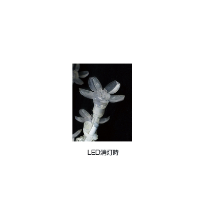 LED�X�g�����O�u�����` �`�F���[