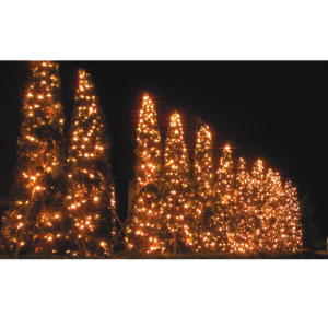 �v���~�A���X����LED�X�g�����O �E�H�[���z���C�g �u���b�N�R�[�h