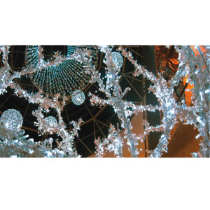 �v���~�A���X����LED�X�g�����O���b�h�N���A�S�[�h