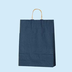 25CB MS-1 ���N�R�Q�`��C 200��