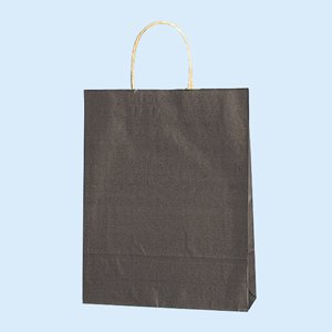 25CB MS-1 ���N�R�Q�`��C 200��