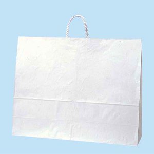 25CB 60-2 ���N���n 100��