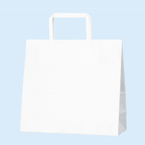 H25CB 26-1 ���N���n 300��