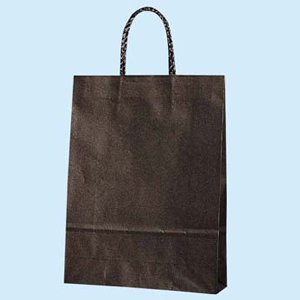 �X���[�XS-100 �V�����W 300��