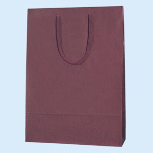 �J���[CB 2�T�C �O���[�� 100��