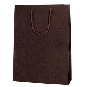 �J���[CB 2�T�C �O���[�� 100��