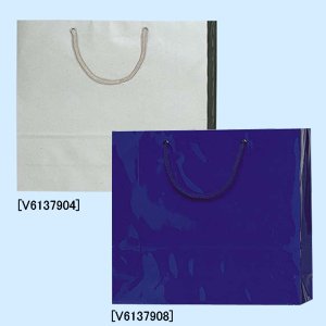 PB-GM �V�� 50��