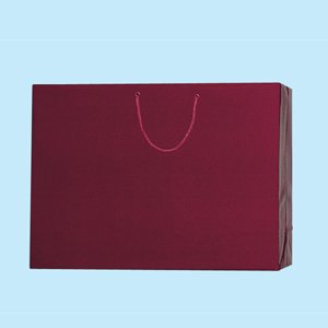 PB-Y2 �V�� 50��