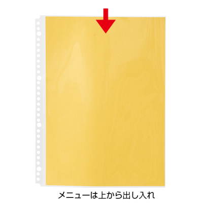 �C���t�H���[�V�����pA4���t�B���i10�����jN-2102