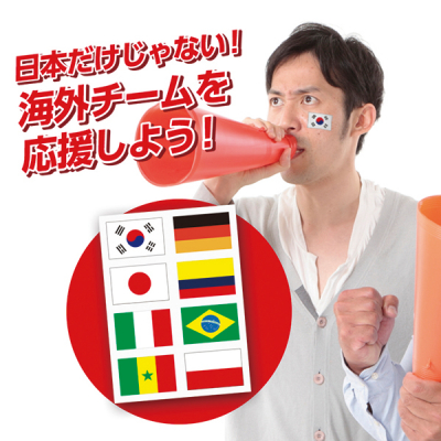 �����t�F�C�X�V�[�� KGO-04  8���� �����V�[��