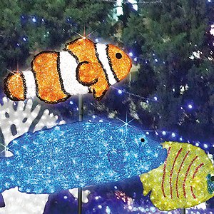 LED�N���X�^���O���[ �C���~�l�[�V�������`�[�t���C�g ���O �h�J �J�N���N�}�m�~