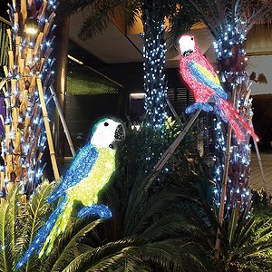 LED�N���X�^���O���[ �C���~�l�[�V�������`�[�t���C�g ���O �h�J �����R���S�E