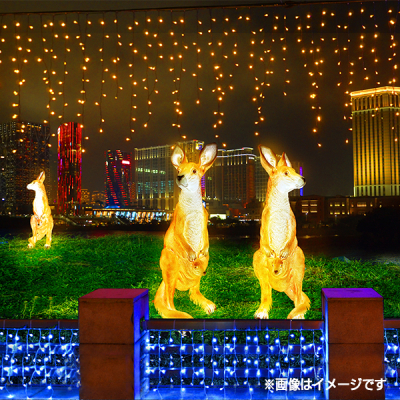 LED�i�`���}�� �C���~�l�[�V�������`�[�t���C�g ���O �h�J �J���K���[ 