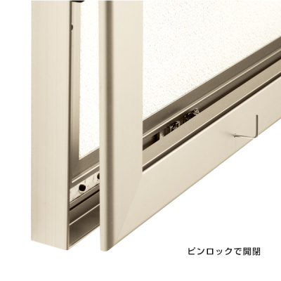 �ǖʌf���� 6613 LB B0���R�i���C�g�u�����Y/�f���{�[�h�d�l�F�A�C�{���[�j