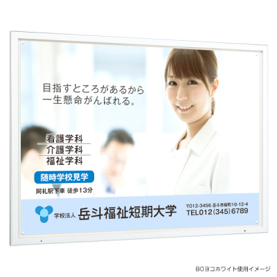 �ǖʌf���� 6613 W A0���R�i�z���C�g/�f���{�[�h�d�l�F�A�C�{���[�j