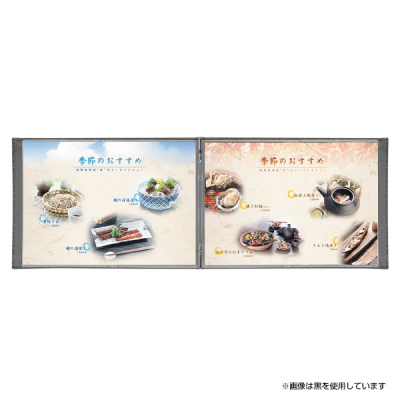 ���j���[�u�b�N LS-18A ��(A4���R�E4P)