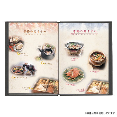 �y�݌Ɍ���z���[���o�C���_�[ NTS-401 �r�[�� ��