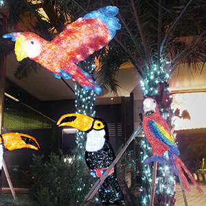 LED�N���X�^���O���[ �C���~�l�[�V�������`�[�t���C�g ���O �h�J �t���C���O�R���S�E