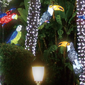 LED�N���X�^���O���[ �C���~�l�[�V�������`�[�t���C�g ���O �h�J �I�I�n�V