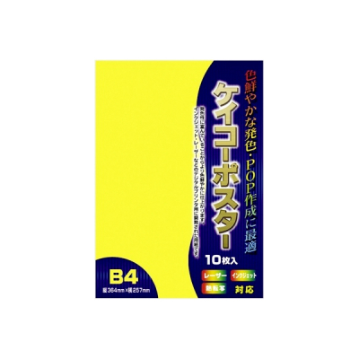 13-3195 �P�C�R�[�|�X�^�[ B4�� ������