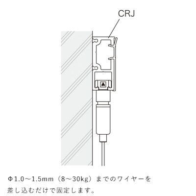 �s�N�`���[���[�� CR-1 �X�ܗp�i �W�� �C�x���g �Ǌ|��