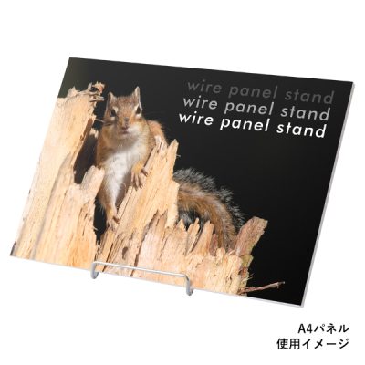 ���C���[�p�l���X�^���h �� ��� �X�`�[��
