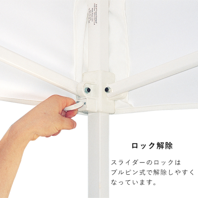 �e���g DX30  �u���[