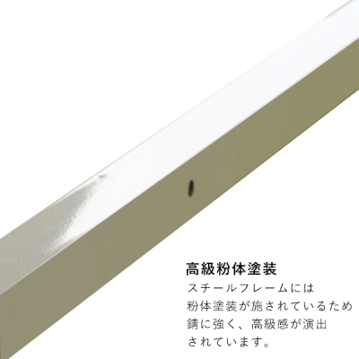 �e���g DX30  �u���[