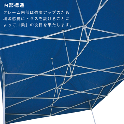 �e���g DX30  �u���[